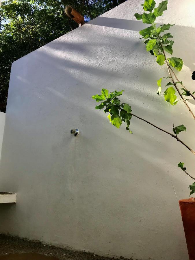 فيلا Kamajoru Ecohabitat Tubará المظهر الخارجي الصورة
